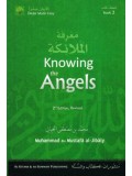 Knowing the Angels